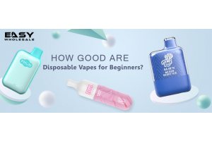 How Good Are Disposable Vapes for Beginners?