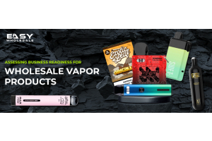 Assessing Business Readiness for Wholesale Vapor Products