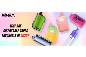 Why Are Disposable Vapes Favorable in 2023?