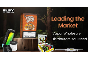 Leading the Market: Vapor Wholesale Distributors You Need