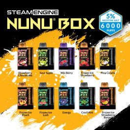 Steam Engine NUNU BOX 5% Disposable  - 6000 Puffs - 5 Pack