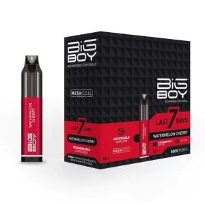 Big Boy 6% Rechargeable Disposable Device