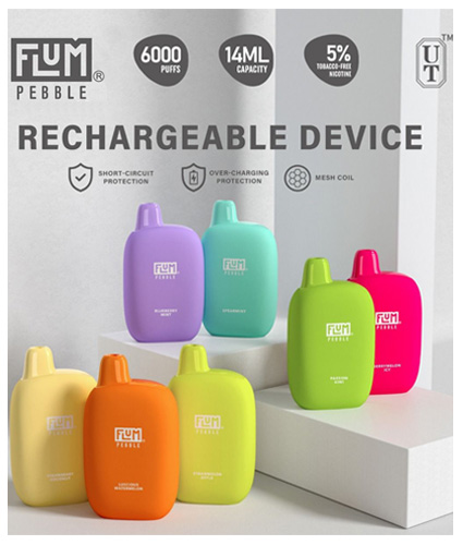 Flum PEBBLE 5% Disposable 